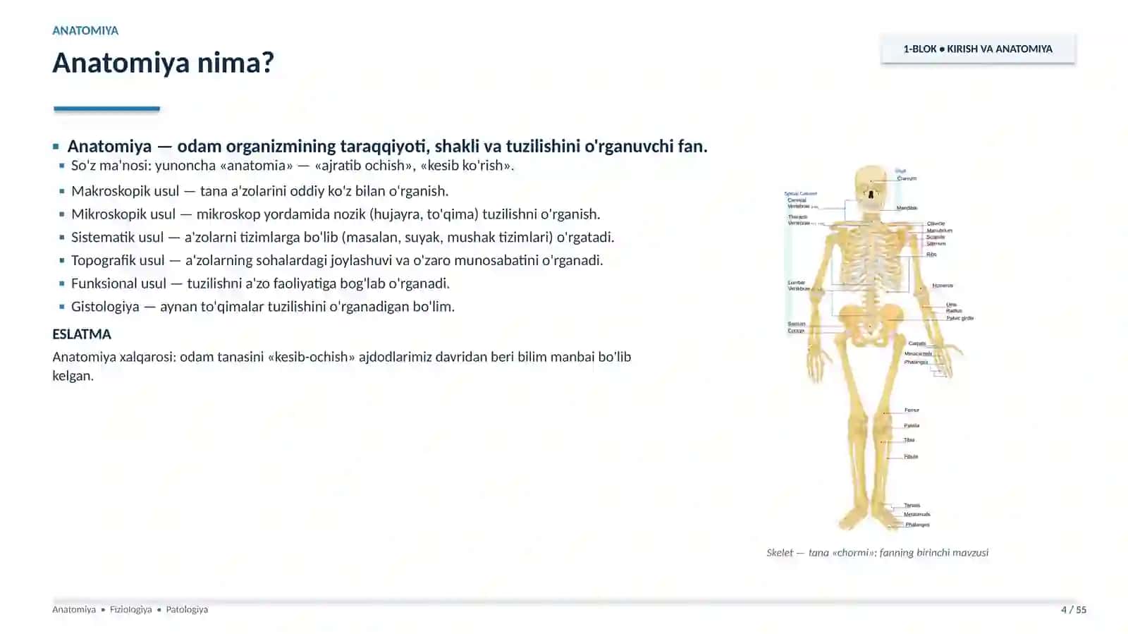 Anatomiya, fiziologiya va patologiya fani vazifasi, tarixi. Slayd 4