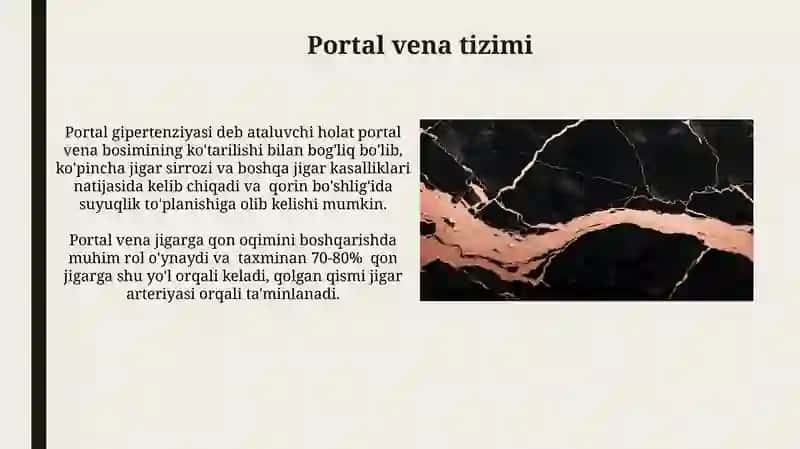Koʻkrak va qorin sohasi arteriya va vena qon tomirlar topografiyasi 4