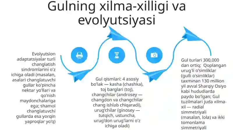Gul qismlari 4