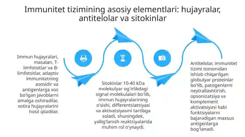 Immuntiziminingshakllanishivayoshgaqaraboʻzgarishi 4