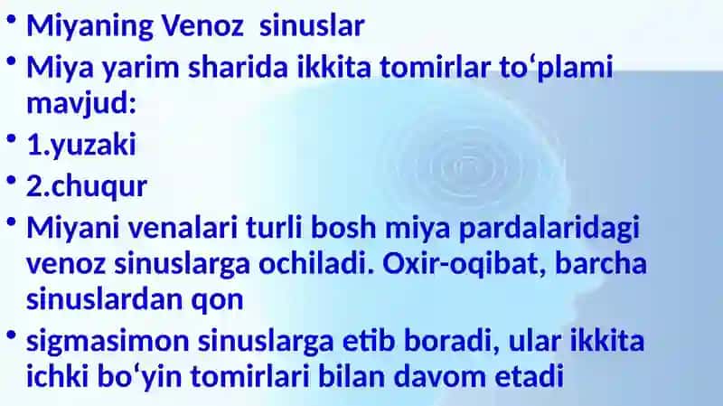 A’zolar qon aylanishining o’ziga xosligi 4
