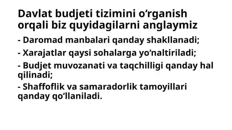 Davlat budjeti tizimi: Daromad va Xarajatlar 4