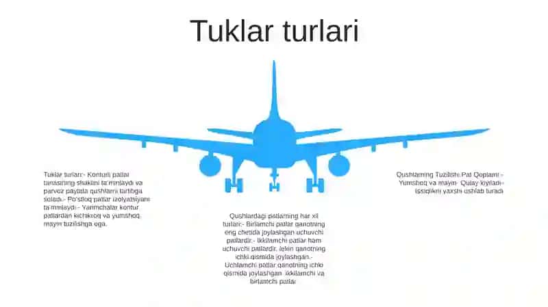 Qushlarning Tuzilishi Pat Qoplami 4