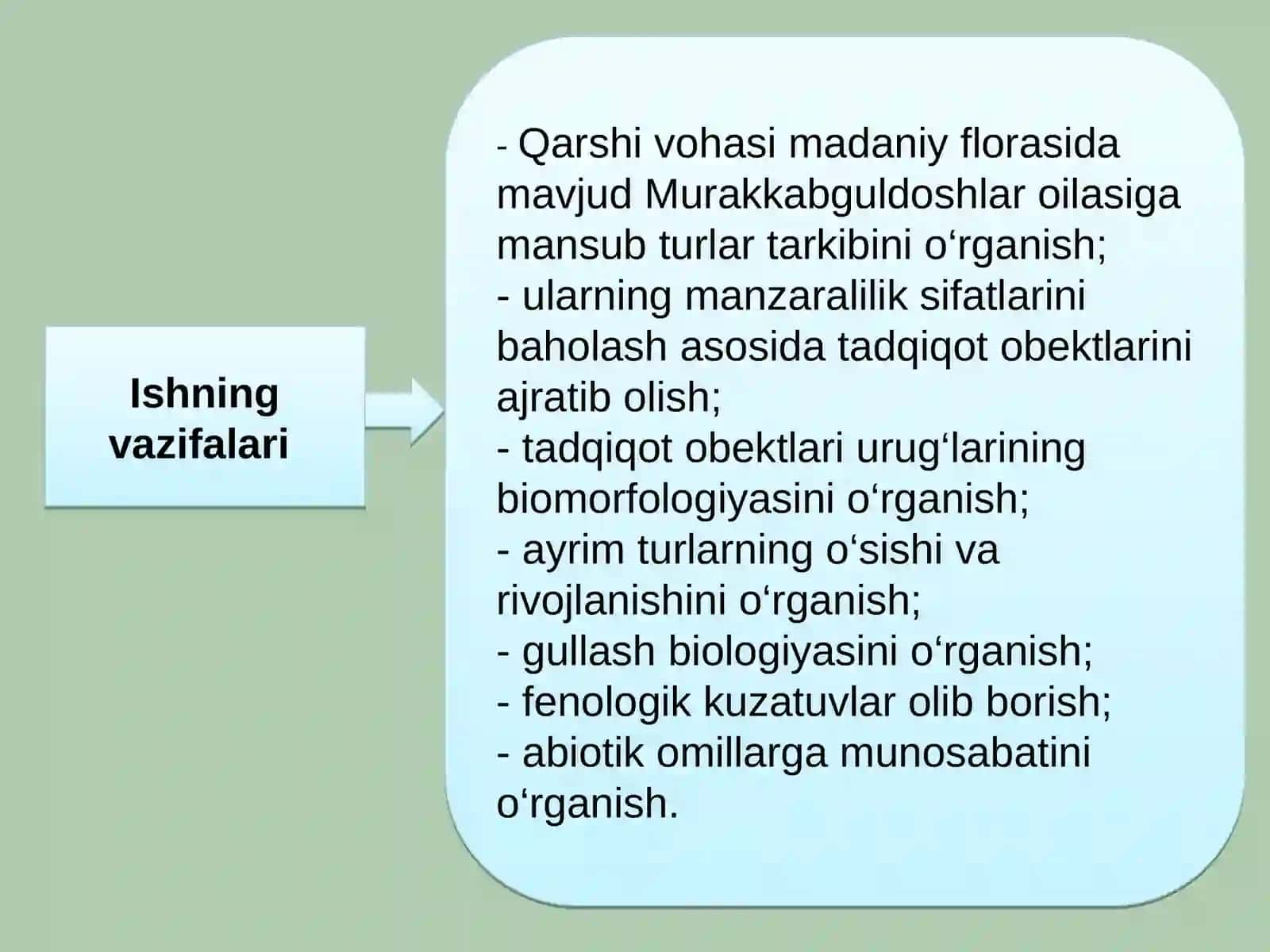 QARSHI VOHASIGA INTRODUKSIYA QILINGAN MURAKKABGULDOSHLAR OILASI VAKILLARINING BIOEKOLOGIK XUSUSIYATLARI 4