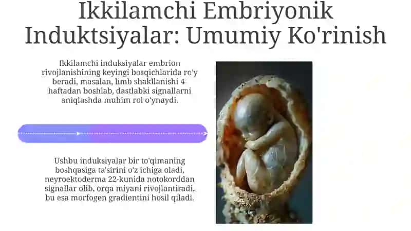 Ikkilamchi embrion induksiyalari va ularning mexanizmlari 4