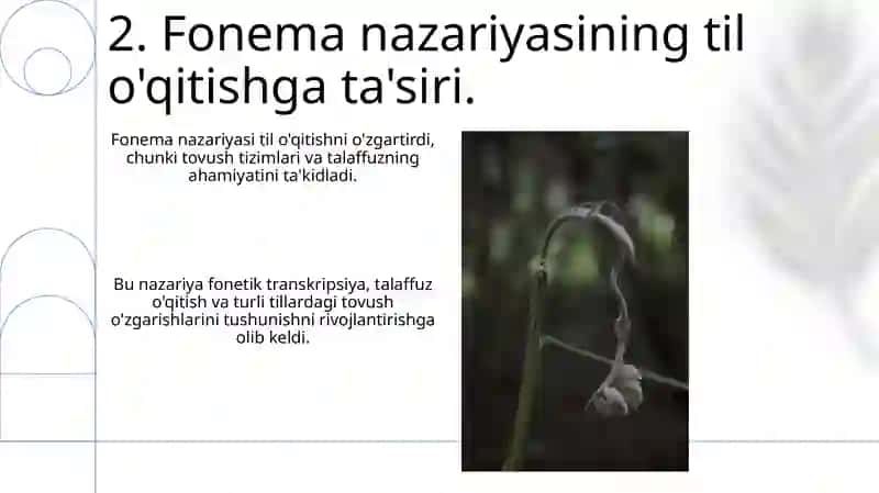 Fonema nazariyasining paydo boʻlishi 4