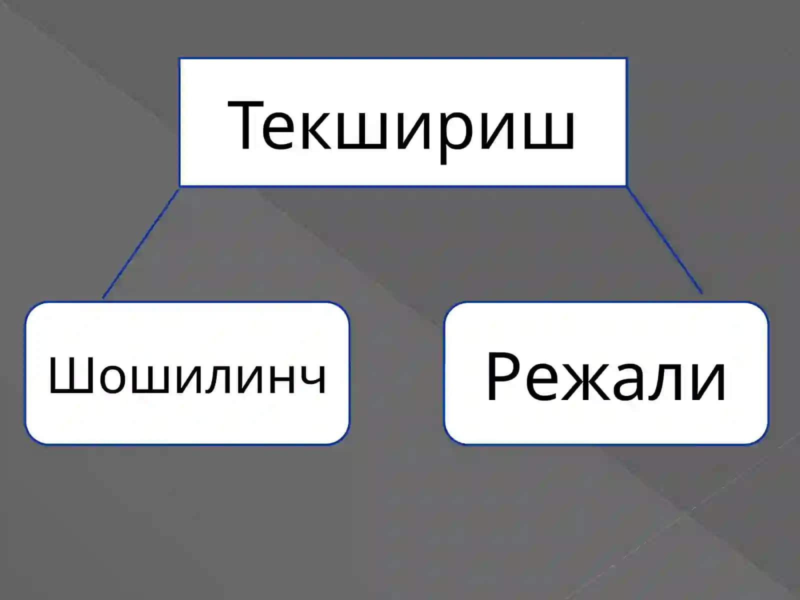 Ўтйўлларни ултратовуш текшируви технологияси. Ўт пуфаги, ўт йўлларни ноосмакасалликларини ултратовуш ташхиси 4