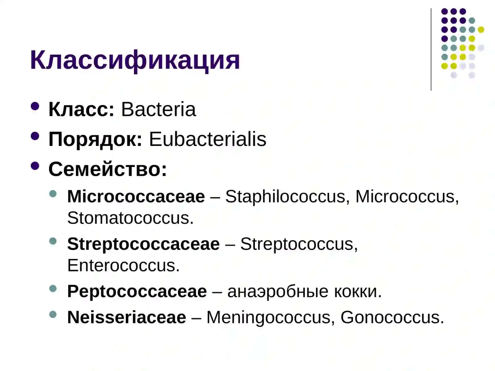 Характеристика возбудителей гнойно-воспалительных заболеваний 4