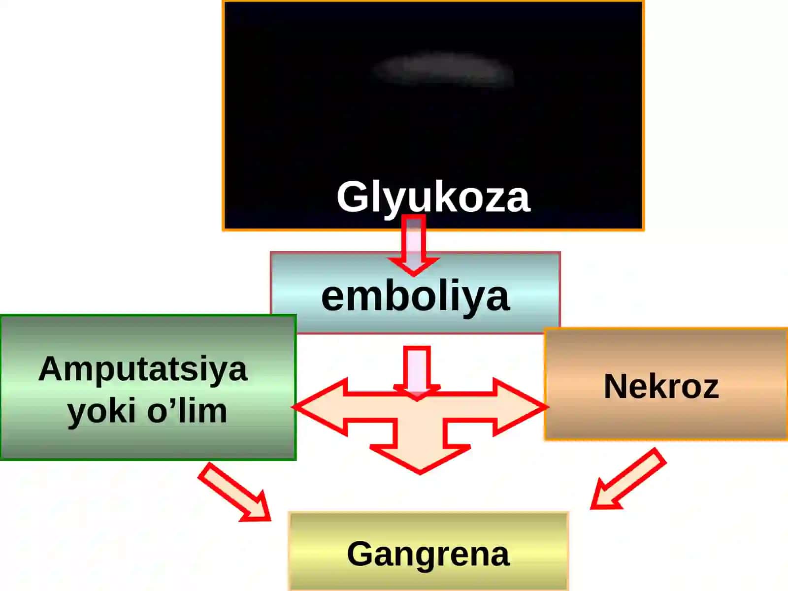 QANDLI DIABET 4