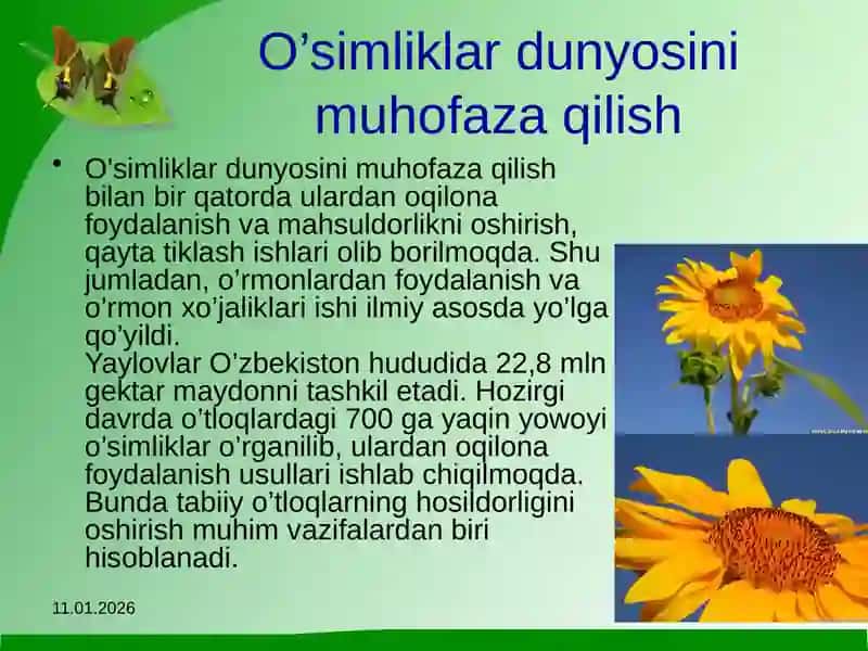 Oʻsimlikhimoyasimuammolari 4