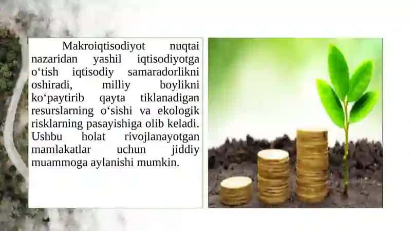 RIVOJLANAYOTGANMAMLAKATLARDA “YASHIL IQTISODIYOT”GA O‘TISH TAJRIBASI 4