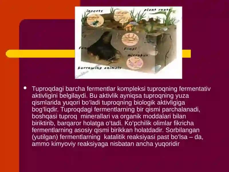 Organik moddalar sintezi 4
