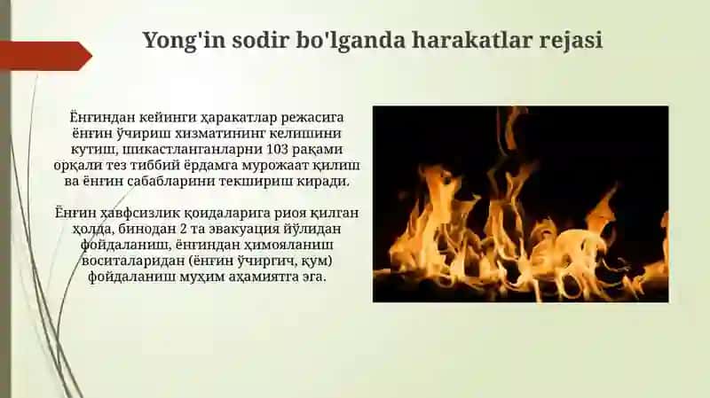 Davlat yong'in havfsizligi hizmati 4