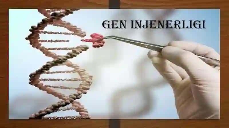 Genetik injeneriya va uning medetsina amaliyotida qo’llanilishi 4