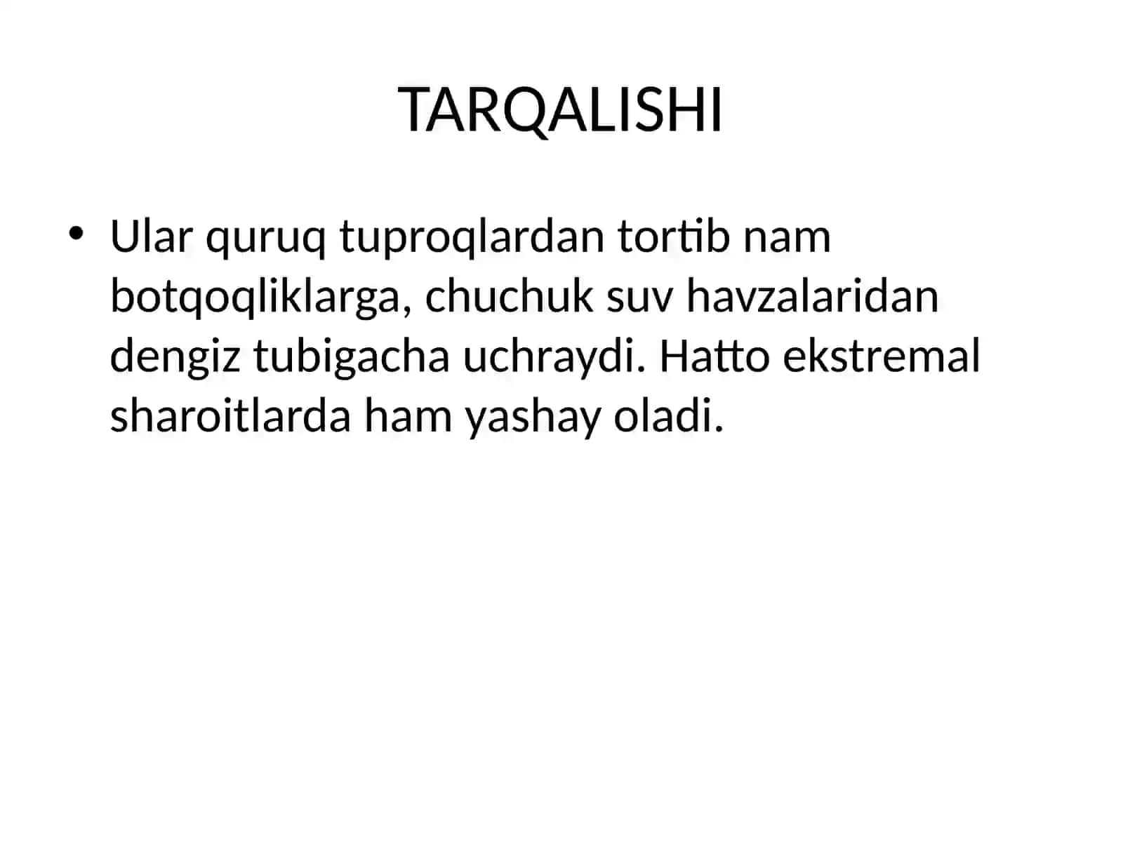 To‘garak chuvalchanglar tuproqda va suv havzalaridagi ahamiyati 4