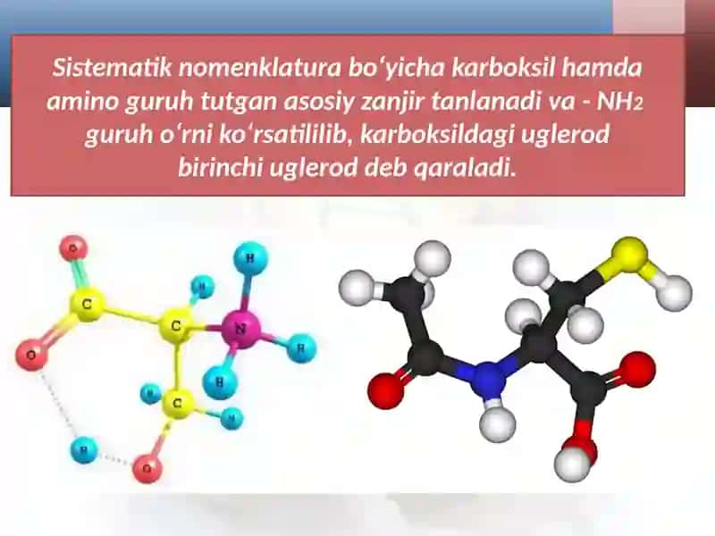 Aminokislotlar va oqsillar 4