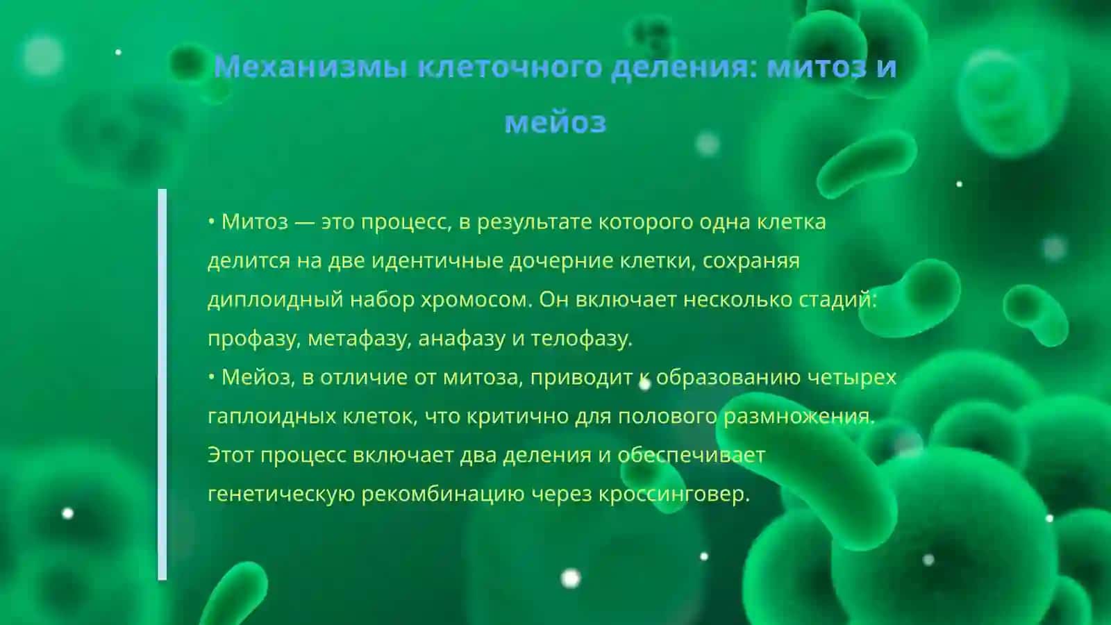 Филогения и аномалии системы деления 4