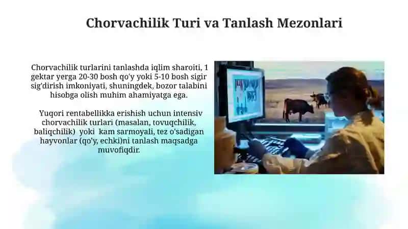 Chorvachilikni rivojlantirish orqali mikroloyiha uaratish 4