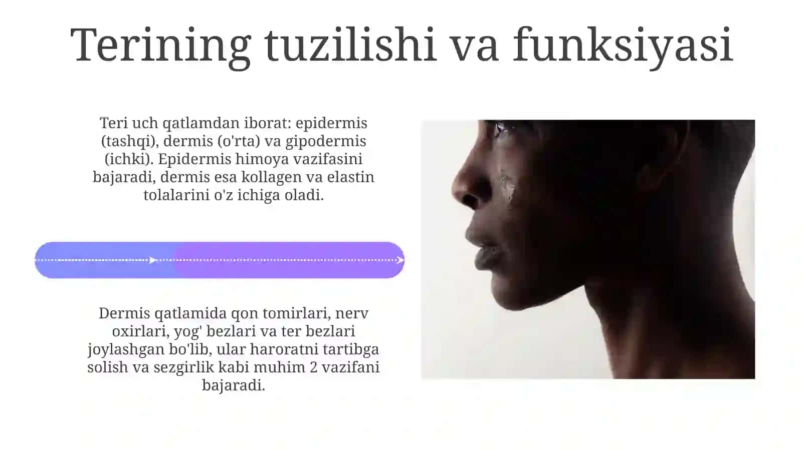 Terining mustahkamligi: Kirish 4