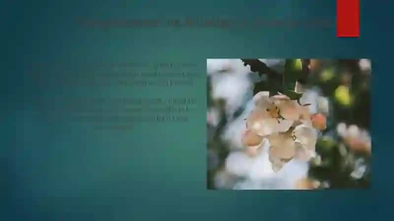 Xulq-atvorning psixofiziologik asosi 4