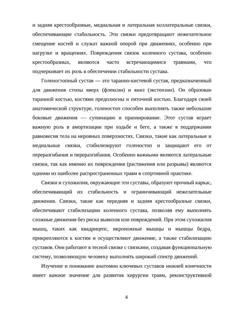 Ключевые суставы нижней конечности и их функции 4