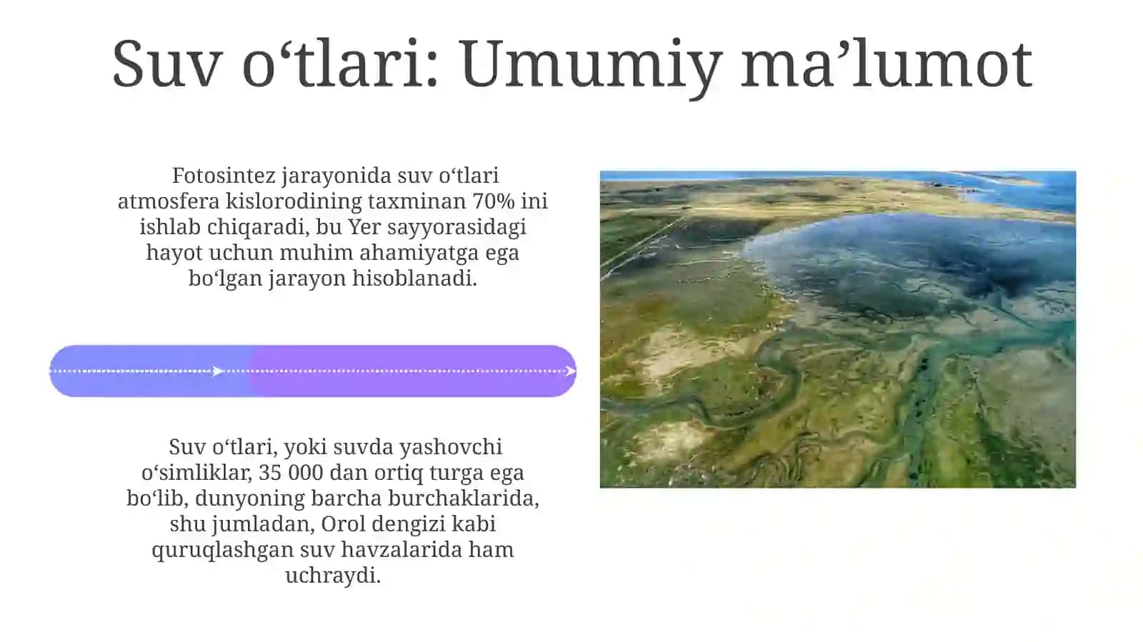 Suvoʻtlar.Ko'kvayashilsuvo'tlar 4