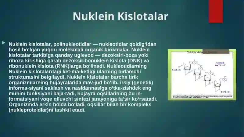 Tiriklikning molekulyar asoslari. Nuklein kislotalar va irsiy belgilarning nasldan-naslga o’tishdagi roli. 4