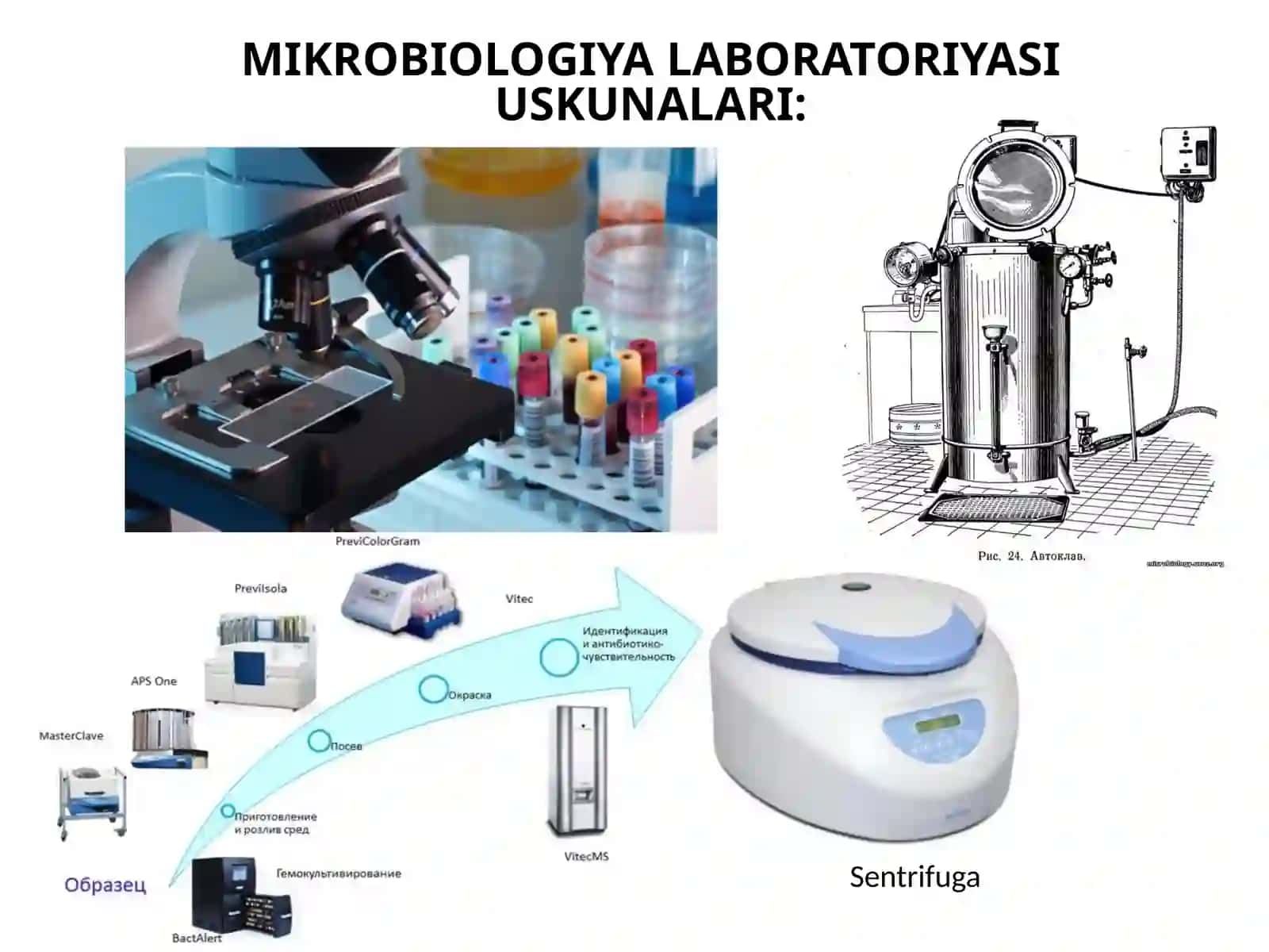 MIKROBIOLOGIYANING TADQIQOT METODLARI 4