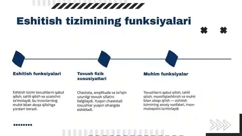 Eshitish tizimi 4