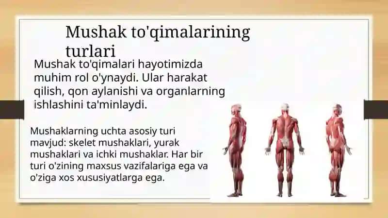 Mushaklarning harakati 4