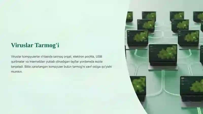 Kompyuter viruslari: zararlangan fayl turlari, virusdan himoyalash, virusdan himoyalovchi mashhur dasturlar 4