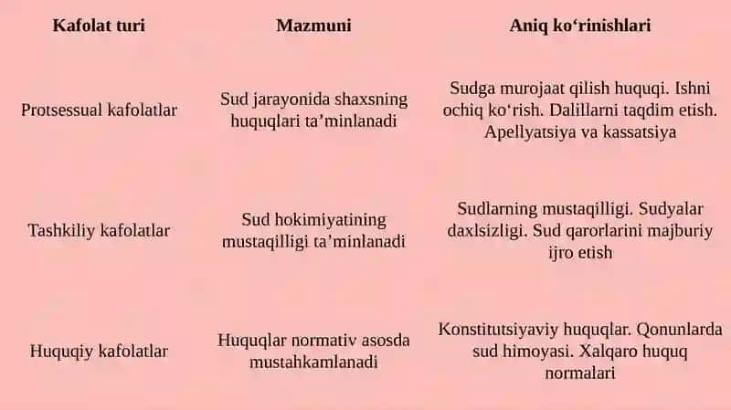 Inson huquqini sud orqalihimoya qilish kafolatlari 4