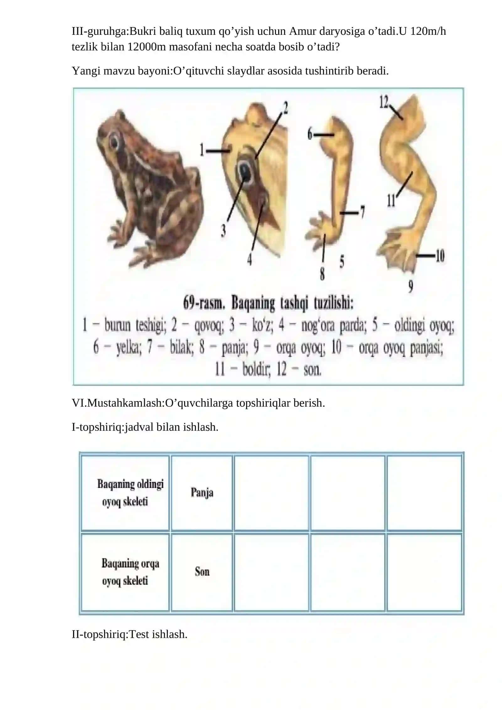 7-sinf Biologiya fanidan Ko'l baqasining tashqi tuzilishi, skeleti va muskullari ochiq dars ishlanma 4