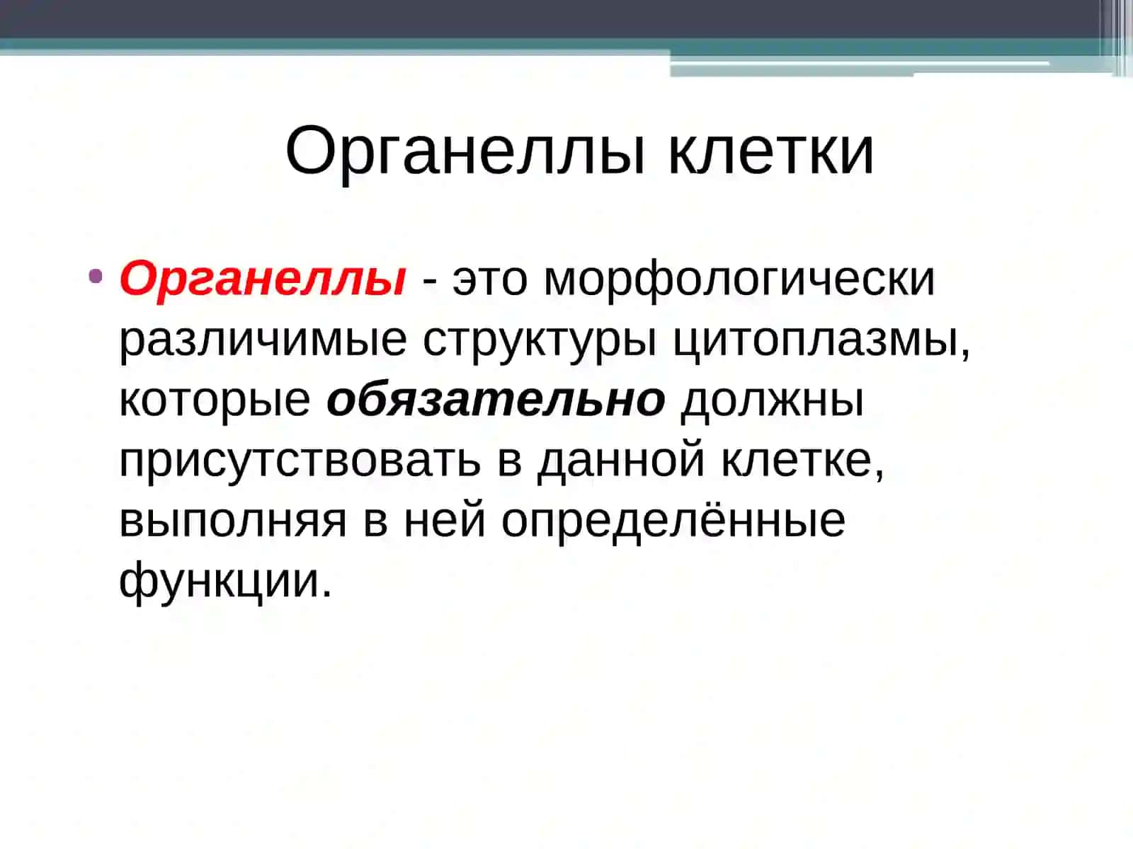 Цитоплазма клетки: органеллы общего и специального значения 4