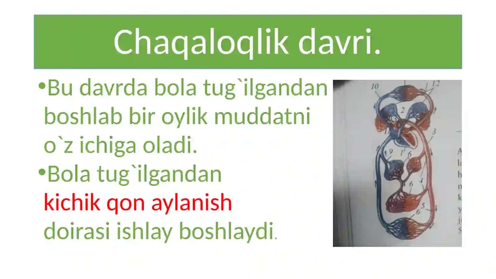 Bolaningo`sishivarivojlanishi 4
