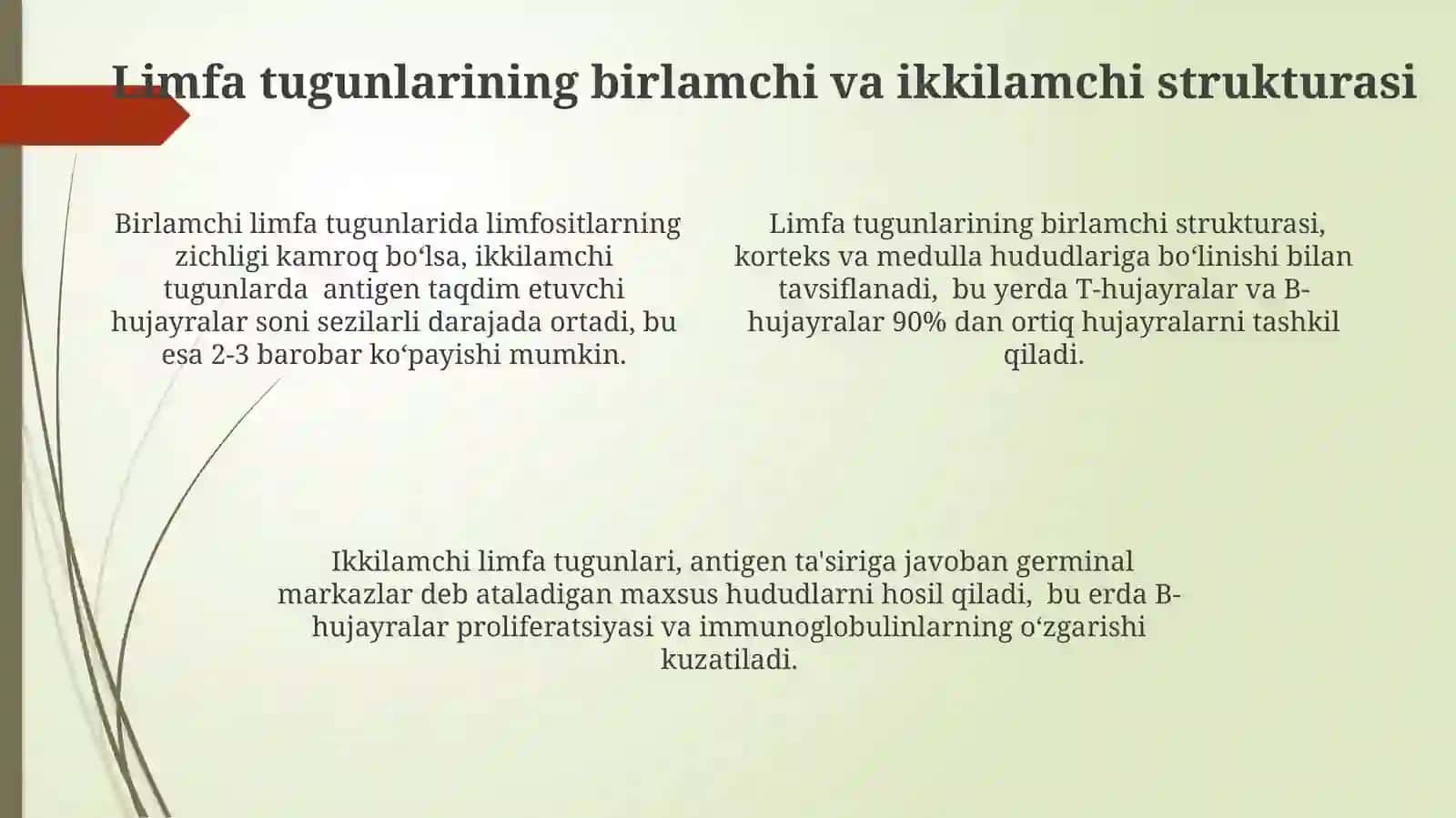 Limfa tugunlari.Birlamchi va ikkilamchi limfa tugunlari tuzilishi va hujayra tarkibi 4