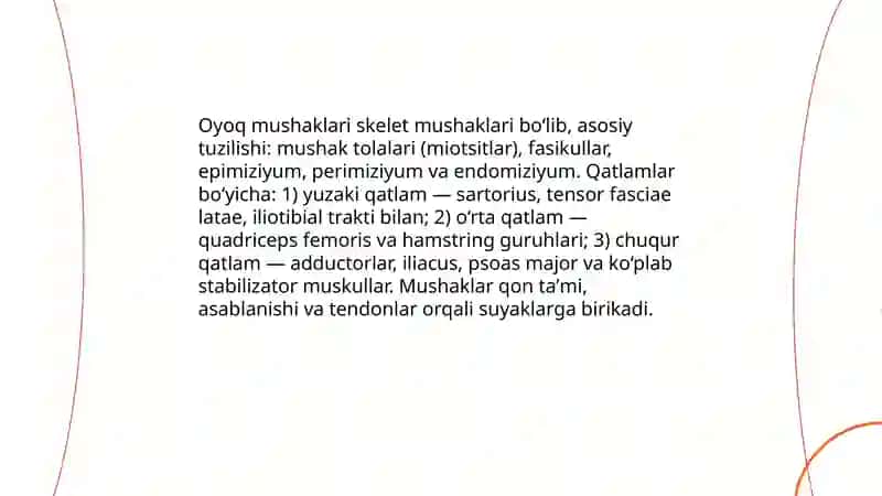 Qoʻl va oyoq bulshiq etlarning morfologiyasi 4