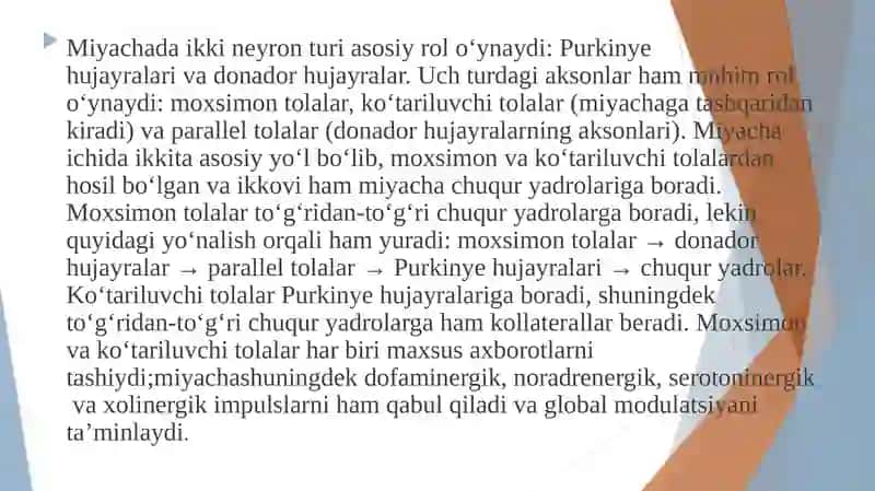 Miyacha neyronlararo aloqalar 4