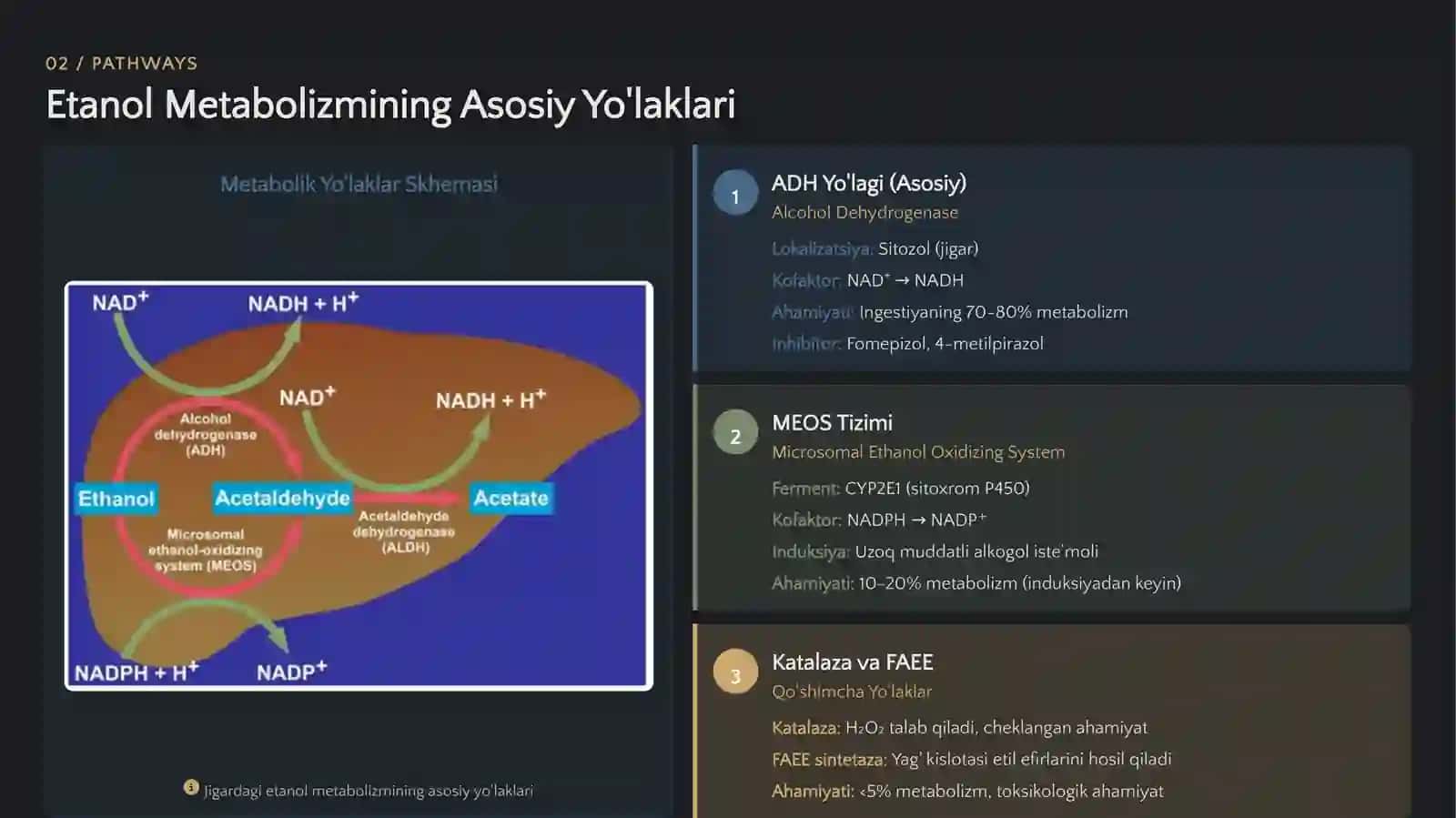Etanol Metabolizmi va ALDG Fermentining Izoformalari Biokimyoviy Asoslar va Klinik Ahmiyati 4