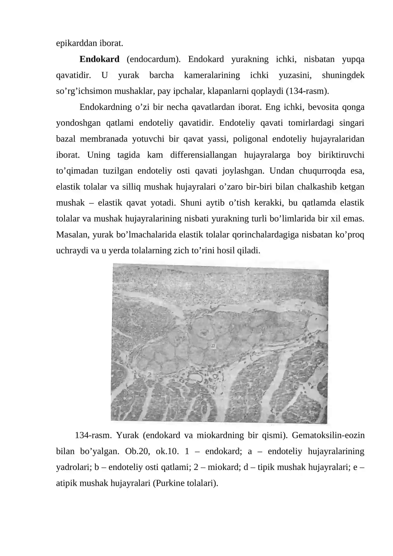 YURAKNING O`TKAZUVCHI YO`LLARI, YURAK INERVATSIYASI 4