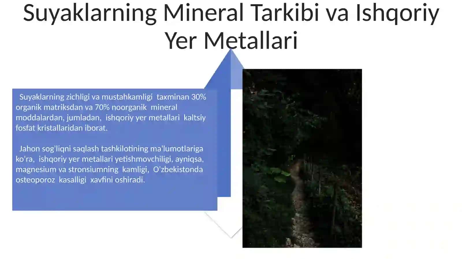 Ishqoriy metallarning biologik ahamiyati 4