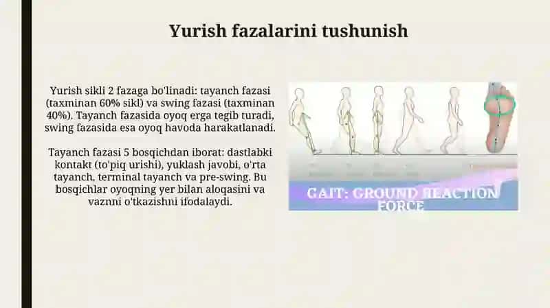 Yurish biomekanikasi 4