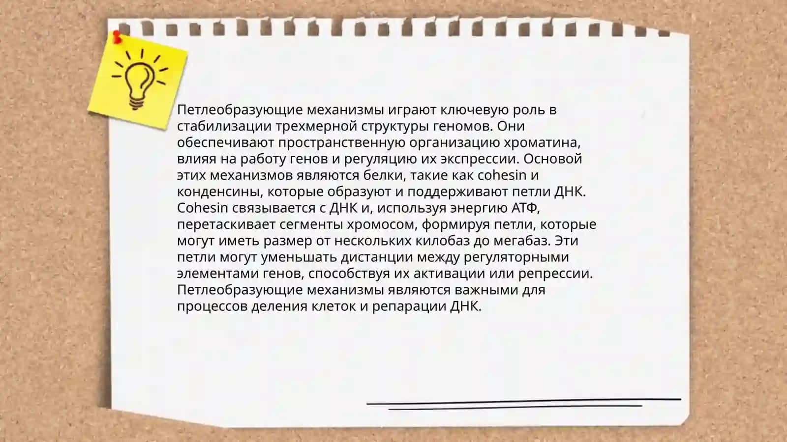 Изучение особенностей рабочих органов и процесса петлеоброзования на двухфонтурной основовязальной машине 4