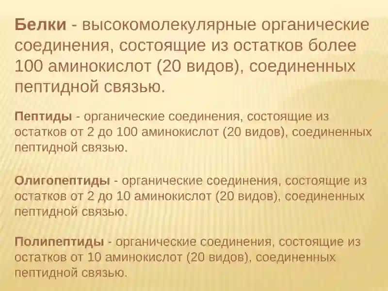 Переваривание белков. Общие пути обмена аминокислот 4