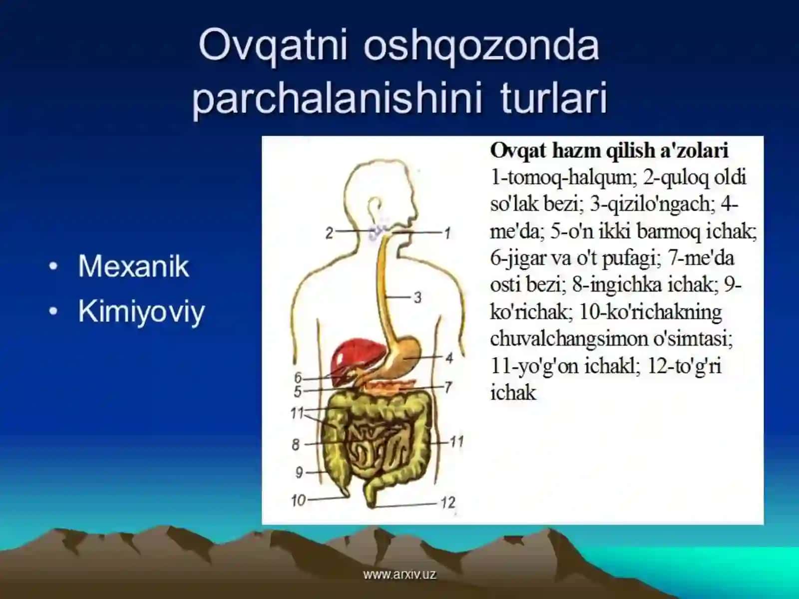 To’g’ri ovqatlanish va oziq ovqatlarining kunlik normasini tuzib chiqish 4