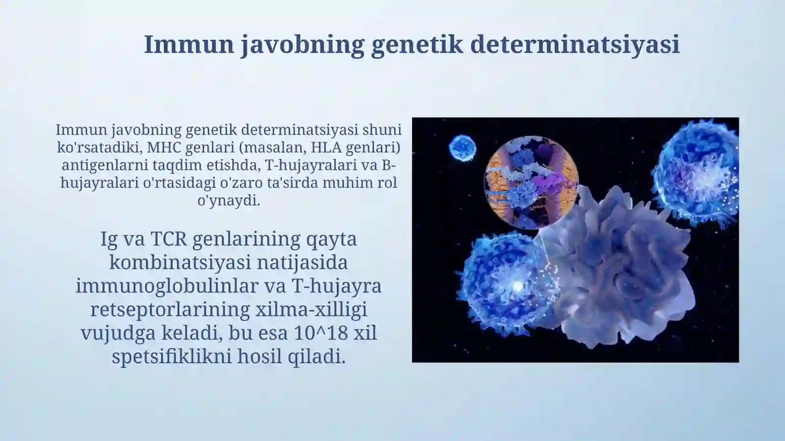 Immunologik reaksiyalarning genetik nazoratiImunologiktolerantlik 4