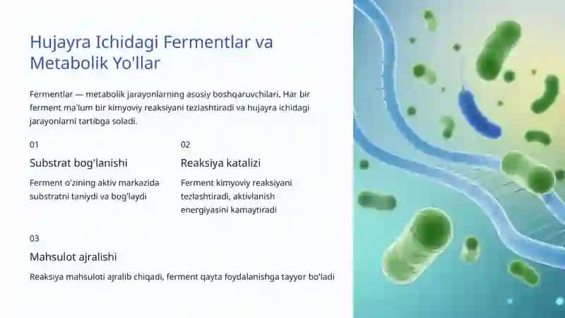 Biologiyada Modda va Energiya Almashinuvi 4