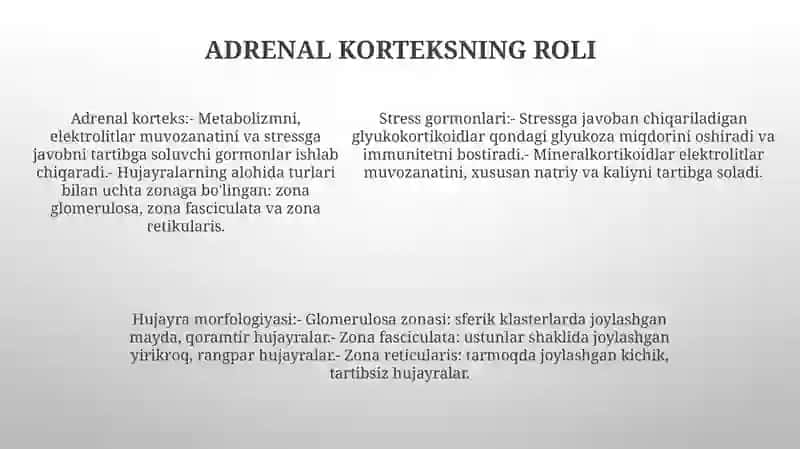Buyuk Usti Bezlari PoʻStlogʻI Garmonlarning Roli Va Hujayralarning Morfologik KoʻRinishlari 4