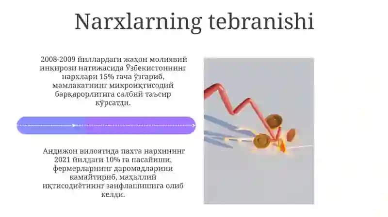 Iqtisodiyotning siklliligi va mikroiqtisodiy beqarorlik 4