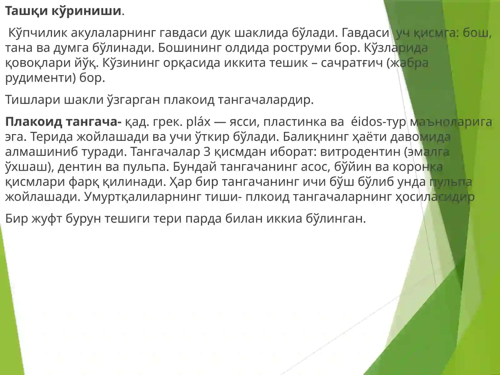 Тоғайли балиқлар-Pisces катта синфи 4